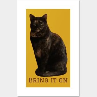 Bring it On Posters and Art